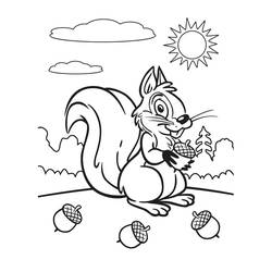 Desenho Esquilo (Animais) #177470 para imprimir e colorir