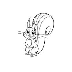 Desenho Esquilo (Animais) #177478 para imprimir e colorir