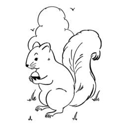 Página para colorir: Esquilo (animais) #6107 - Páginas para Colorir Imprimíveis Gratuitamente