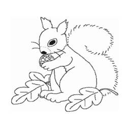 Página para colorir: Esquilo (animais) #6128 - Páginas para Colorir Imprimíveis Gratuitamente