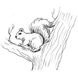 Página para colorir: Esquilo (animais) #6154 - Páginas para Colorir Imprimíveis Gratuitamente