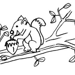 Página para colorir: Esquilo (animais) #6194 - Páginas para Colorir Imprimíveis Gratuitamente