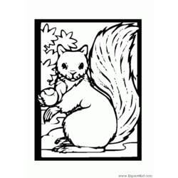 Página para colorir: Esquilo (animais) #6195 - Páginas para Colorir Imprimíveis Gratuitamente