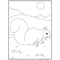 Página para colorir: Esquilo (animais) #6202 - Páginas para Colorir Imprimíveis Gratuitamente