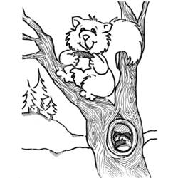 Página para colorir: Esquilo (animais) #6204 - Páginas para Colorir Imprimíveis Gratuitamente