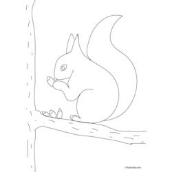 Página para colorir: Esquilo (animais) #6211 - Páginas para Colorir Imprimíveis Gratuitamente