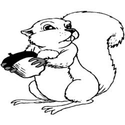 Página para colorir: Esquilo (animais) #6228 - Páginas para Colorir Imprimíveis Gratuitamente