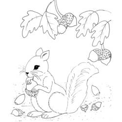 Página para colorir: Esquilo (animais) #6232 - Páginas para Colorir Imprimíveis Gratuitamente