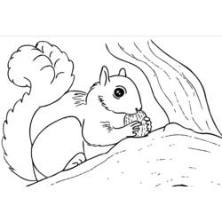 Página para colorir: Esquilo (animais) #6238 - Páginas para Colorir Imprimíveis Gratuitamente