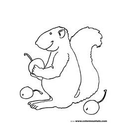 Página para colorir: Esquilo (animais) #6250 - Páginas para Colorir Imprimíveis Gratuitamente