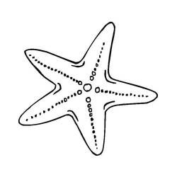 Página para colorir: Estrela-do-mar (Animais) #187161 - Páginas para Colorir Imprimíveis Gratuitamente