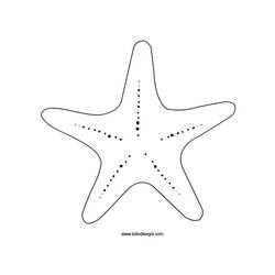Página para colorir: Estrela do Mar (animais) #6711 - Páginas para Colorir Imprimíveis Gratuitamente