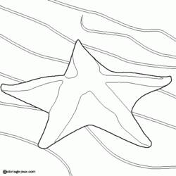 Página para colorir: Estrela do Mar (animais) #6715 - Páginas para Colorir Imprimíveis Gratuitamente