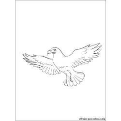 Página para colorir: Falcão (animais) #6842 - Páginas para Colorir Imprimíveis Gratuitamente