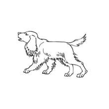 Desenho Filhote (Animais) #2964 para imprimir e colorir