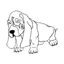 Desenho Filhote (Animais) #2989 para imprimir e colorir