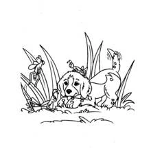 Desenho Filhote (Animais) #3082 para imprimir e colorir