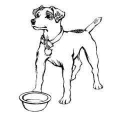 Página para colorir: Filhote de cachorro (animais) #2893 - Páginas para Colorir Imprimíveis Gratuitamente