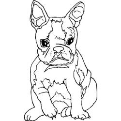 Página para colorir: Filhote de cachorro (animais) #2924 - Páginas para Colorir Imprimíveis Gratuitamente