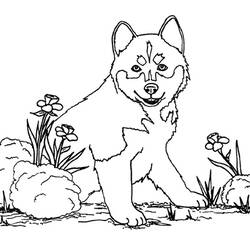 Página para colorir: Filhote de cachorro (animais) #2939 - Páginas para Colorir Imprimíveis Gratuitamente