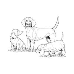 Página para colorir: Filhote de cachorro (animais) #2953 - Páginas para Colorir Imprimíveis Gratuitamente