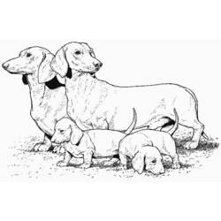 Página para colorir: Filhote de cachorro (animais) #2960 - Páginas para Colorir Imprimíveis Gratuitamente