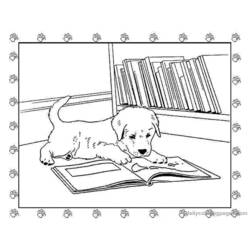 Página para colorir: Filhote de cachorro (animais) #2973 - Páginas para Colorir Imprimíveis Gratuitamente