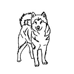 Página para colorir: Filhote de cachorro (animais) #3048 - Páginas para Colorir Imprimíveis Gratuitamente