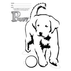 Página para colorir: Filhote de cachorro (animais) #3050 - Páginas para Colorir Imprimíveis Gratuitamente