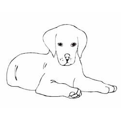 Página para colorir: Filhote de cachorro (animais) #3052 - Páginas para Colorir Imprimíveis Gratuitamente