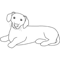 Página para colorir: Filhote de cachorro (animais) #3059 - Páginas para Colorir Imprimíveis Gratuitamente