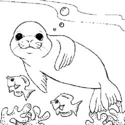 Desenho Foca (Animais) #16264 para imprimir e colorir