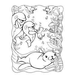 Desenho Foca (Animais) #16318 para imprimir e colorir