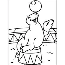 Desenho Foca (Animais) #16368 para imprimir e colorir