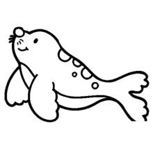 Desenho Foca (Animais) #16390 para imprimir e colorir