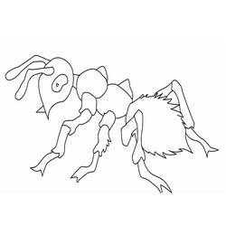 Desenho Formiga (Animais) #196462 para imprimir e colorir