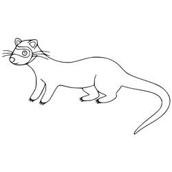 Página para colorir: Furão (Animais) #205385 - Páginas para Colorir Imprimíveis Gratuitamente