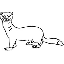 Página para colorir: Furão (Animais) #205393 - Páginas para Colorir Imprimíveis Gratuitamente