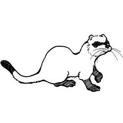 Página para colorir: Furão (Animais) #205397 - Páginas para Colorir Imprimíveis Gratuitamente