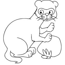Página para colorir: Furão (Animais) #205401 - Páginas para Colorir Imprimíveis Gratuitamente