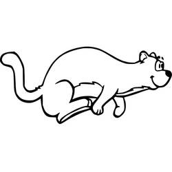 Página para colorir: Furão (Animais) #205402 - Páginas para Colorir Imprimíveis Gratuitamente