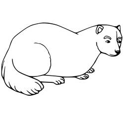Página para colorir: Furão (Animais) #205407 - Páginas para Colorir Imprimíveis Gratuitamente