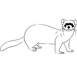Página para colorir: Furão (Animais) #205409 - Páginas para Colorir Imprimíveis Gratuitamente