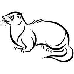 Página para colorir: Furão (Animais) #205410 - Páginas para Colorir Imprimíveis Gratuitamente