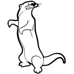 Página para colorir: Furão (Animais) #205411 - Páginas para Colorir Imprimíveis Gratuitamente
