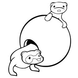 Página para colorir: Furão (Animais) #205416 - Páginas para Colorir Imprimíveis Gratuitamente