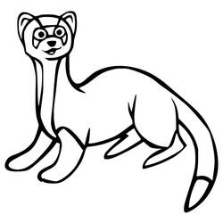 Página para colorir: Furão (Animais) #205417 - Páginas para Colorir Imprimíveis Gratuitamente