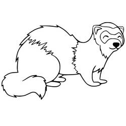Página para colorir: Furão (Animais) #205418 - Páginas para Colorir Imprimíveis Gratuitamente