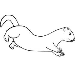 Página para colorir: Furão (Animais) #205420 - Páginas para Colorir Imprimíveis Gratuitamente