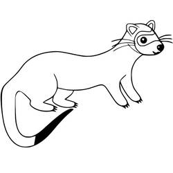 Página para colorir: Furão (Animais) #205422 - Páginas para Colorir Imprimíveis Gratuitamente